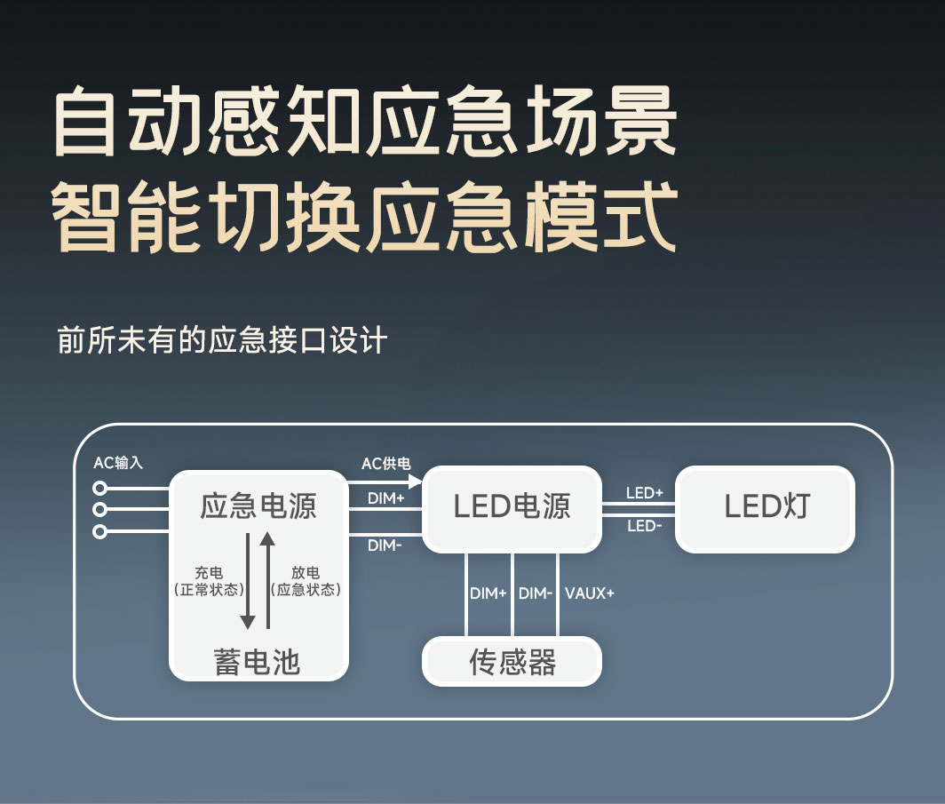 NHV系列_06.jpg